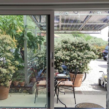 Apartament La Casa Negli Ulivi Chiavari Zewnętrze zdjęcie